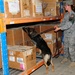 National Police Week Military Working Dog Detection Challenge