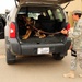 National Police Week Military Working Dog Detection Challenge