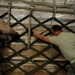Humanitarian Relief, Pakistan