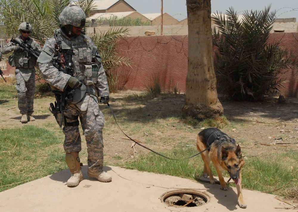 Guardsmen, Iraqi Army Soldiers on the hunt in Abu Ghraib