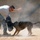 Military Working Dogs training in Baghdad, Iraq