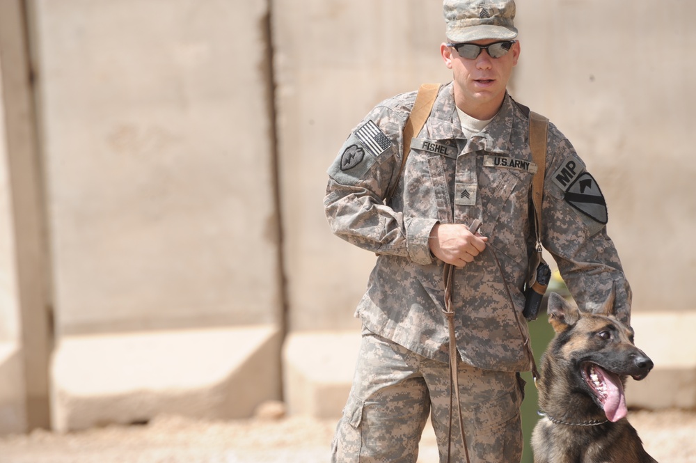 Military Working Dogs training in Baghdad, Iraq