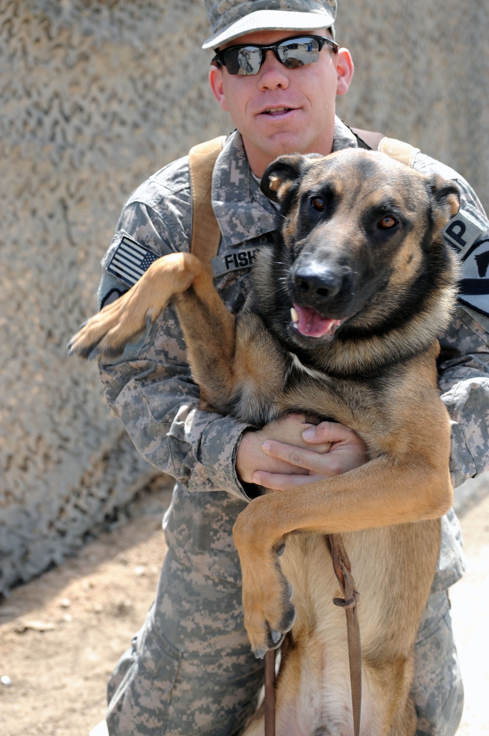 Military Working Dogs training in Baghdad, Iraq