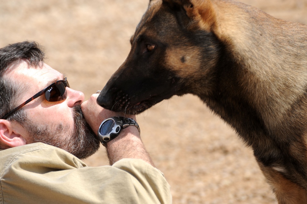 Military Working Dogs training in Baghdad, Iraq