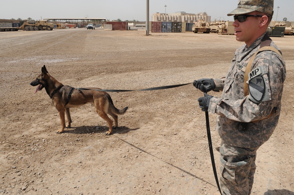 Military Working Dogs training in Baghdad, Iraq