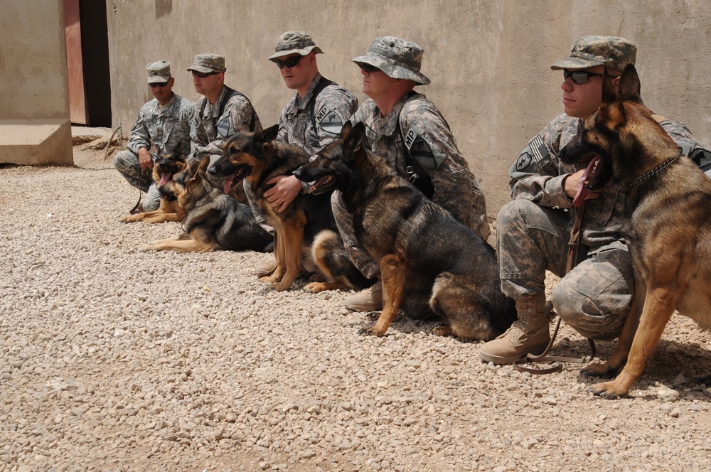 Military Working Dogs training in Baghdad, Iraq