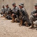 Military Working Dogs training in Baghdad, Iraq