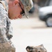 Military Working Dogs training in Baghdad, Iraq