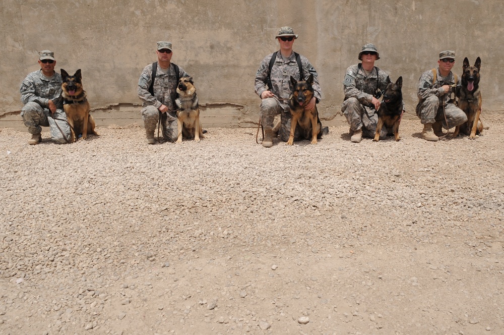 Military Working Dogs training in Baghdad, Iraq