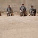 Military Working Dogs training in Baghdad, Iraq