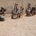 Military Working Dogs training in Baghdad, Iraq