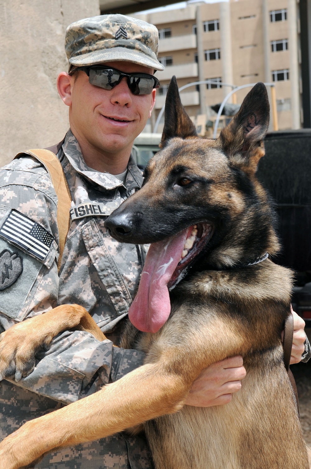 Military Working Dogs training in Baghdad, Iraq