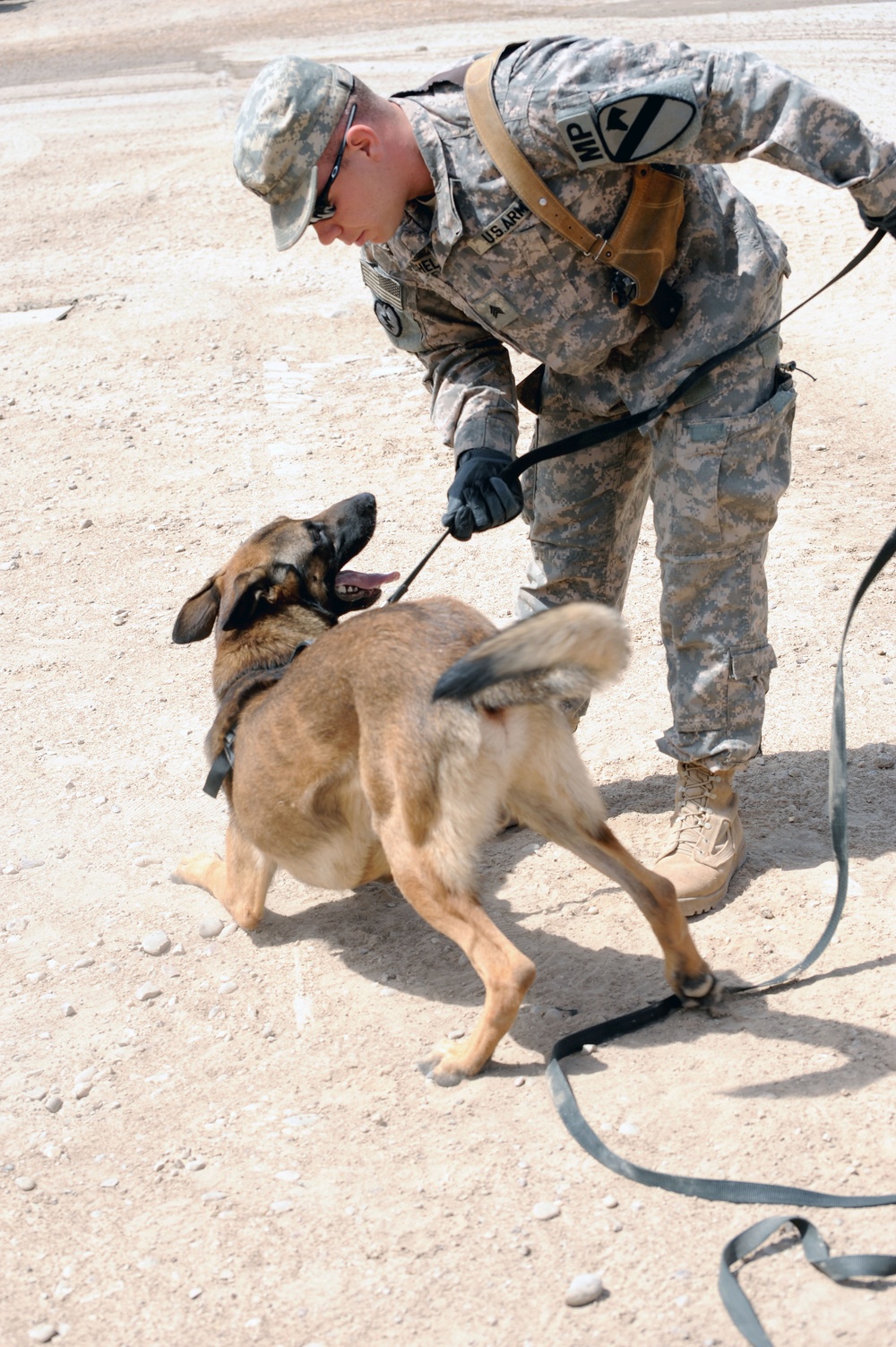 Military Working Dogs training in Baghdad, Iraq