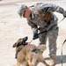 Military Working Dogs training in Baghdad, Iraq