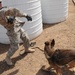 Military Working Dogs training in Baghdad, Iraq