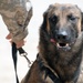 Military Working Dogs training in Baghdad, Iraq