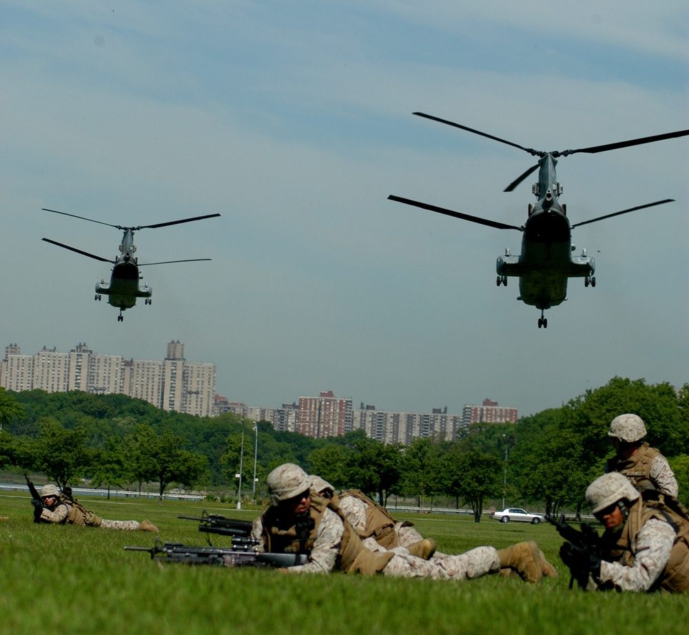 Bronx raid