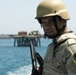 Exercise in the northern Persian Gulf, off the coast of Iraq