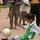 A young boy wearing a green and white soccer uniform with an Iraqi flag patch is kicking a soccer ball on a reddish track surface. In the background, a U.S. military soldier in ACU camouflage uniform holding a camera and rifle is visible alongside several civilians. The scene appears to be a community or outreach sporting event.