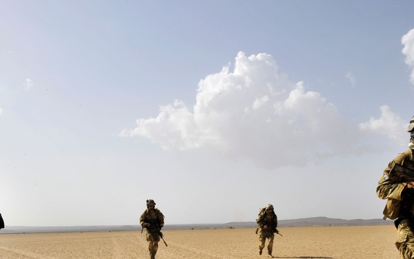 Joint mass casualty exercise