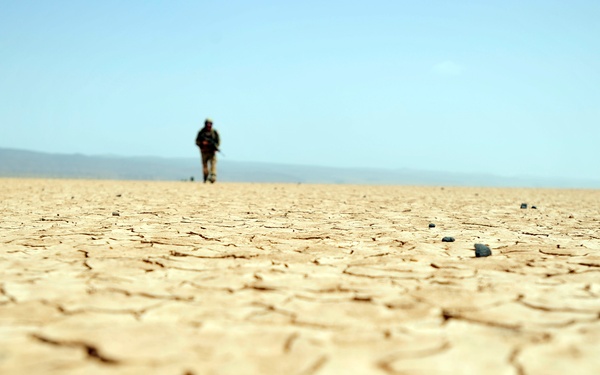 Joint mass casualty exercise