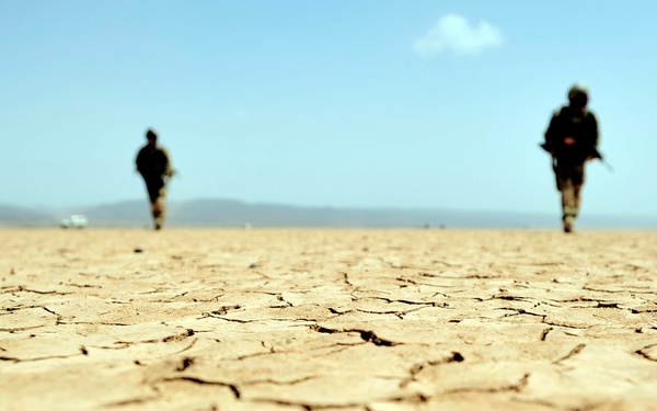 Joint Mass Casualty Exercise