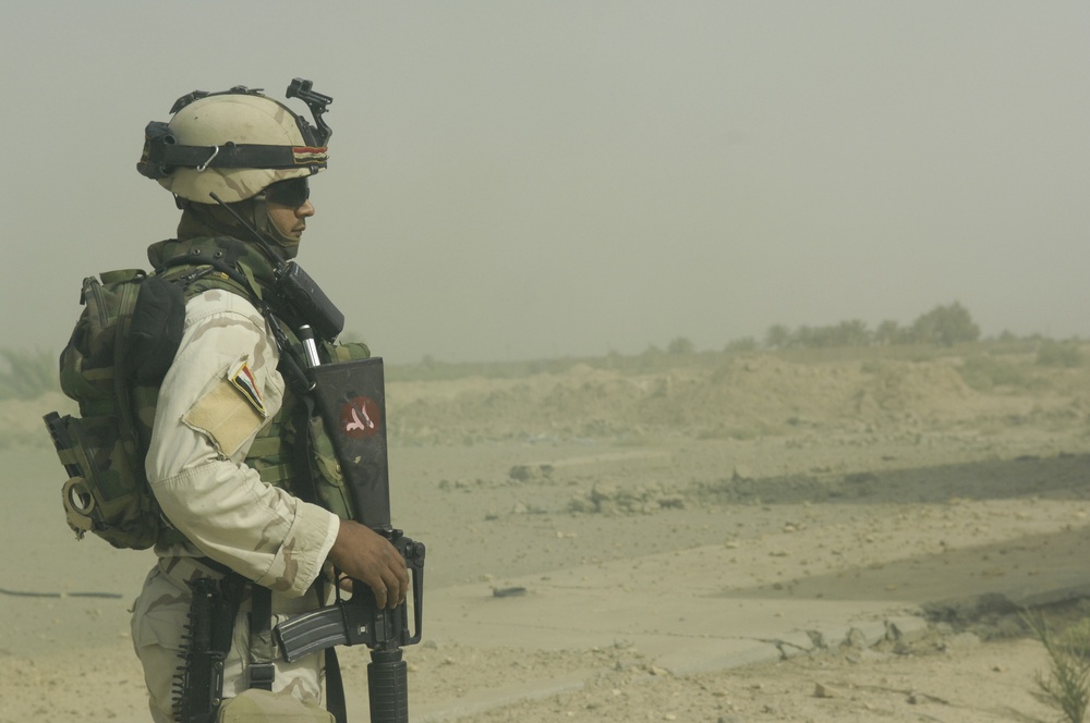 Joint training exercise near Bahbahani, Iraq