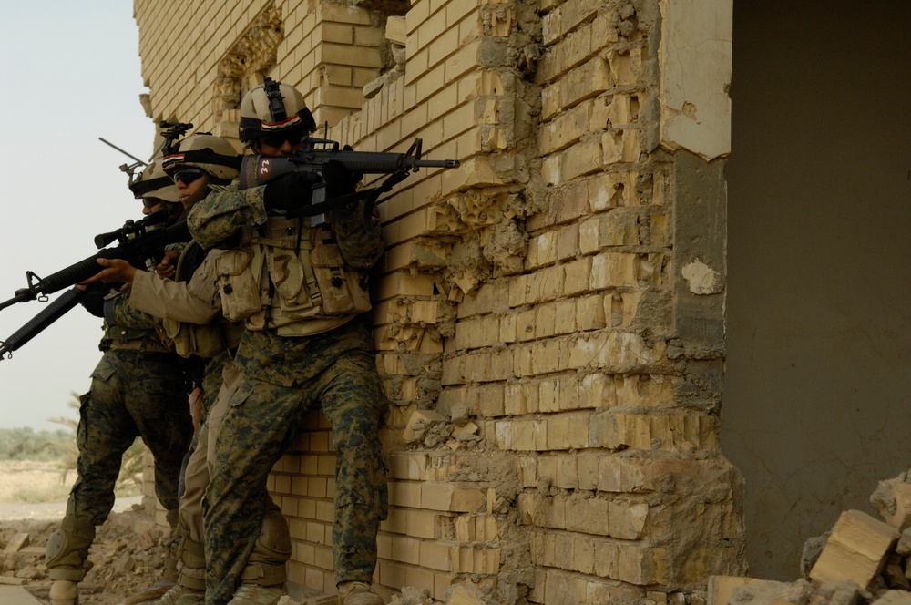 Joint Training Exercise Near Bahbahani, Iraq