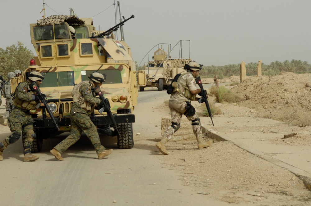 Joint training exercise near Bahbahani, Iraq