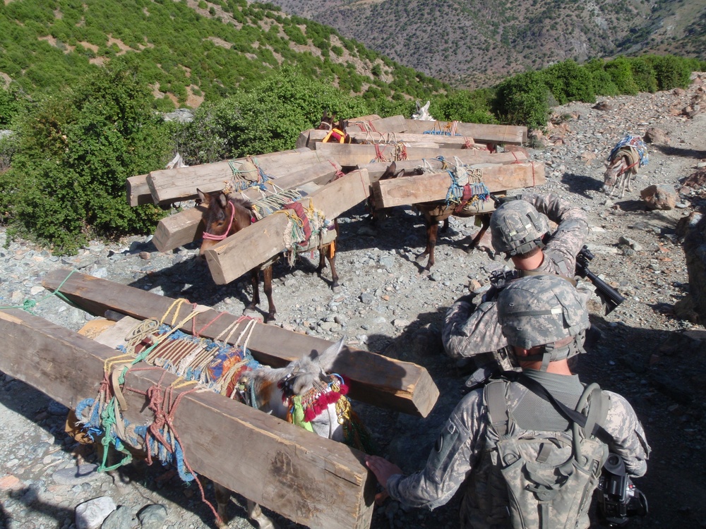 Chosin battalion derails illegal wood smuggling routes in Konar