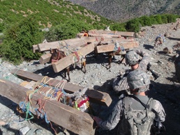Chosin battalion derails illegal wood smuggling routes in Konar