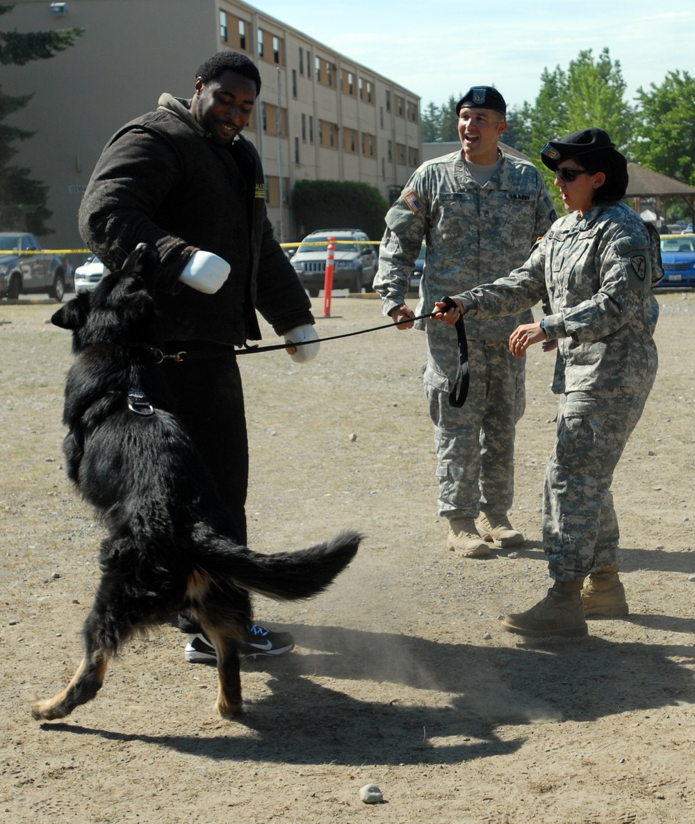 DVIDS - News - Fort Lewis hosts team-building day with Seahawks