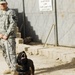 Four-legged Soldiers sniff out insurgent activities in 30th Heavy Brigade Combat Team area of operations