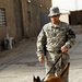 Four-legged Soldiers sniff out insurgent activities in 30th Heavy Brigade Combat Team area of operations