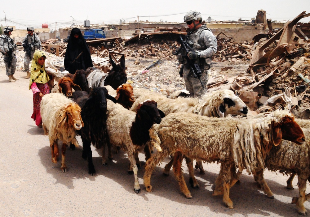 Soldier's patrol, inspect plant