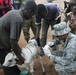 Military Veterinarians Fosters Connection Between U.S., Beninese People