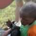 Military Veterinarians Fosters Connection Between U.S., Beninese People