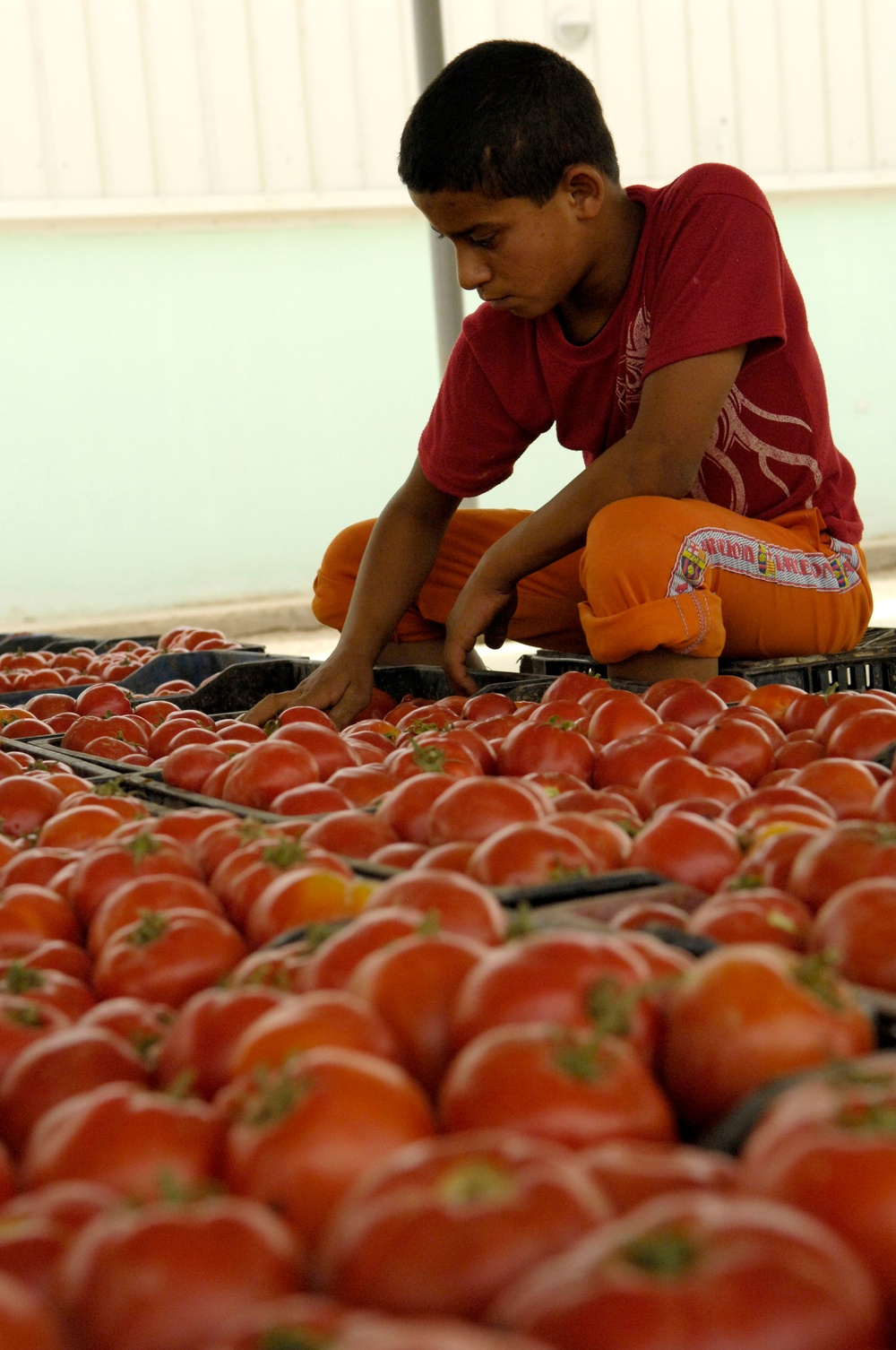 Opening ceremonies for the Central Euphrates Farmer's Market