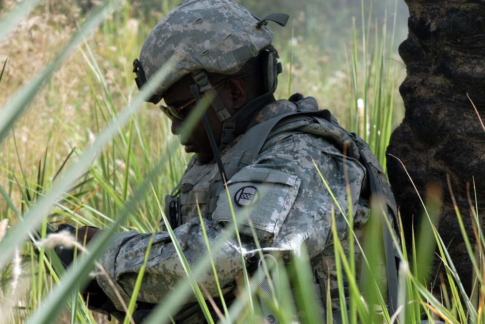 Old Hickory Soldiers sweep palm grove for weapons caches