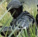 Old Hickory Soldiers sweep palm grove for weapons caches