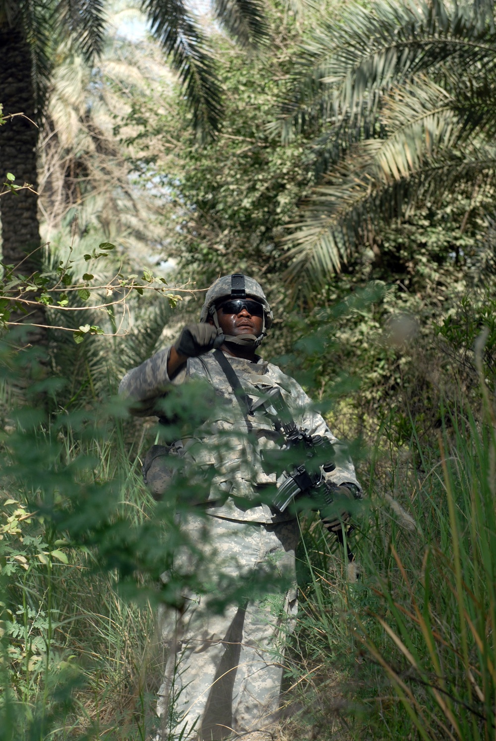 Old Hickory Soldiers sweep palm grove for weapons caches