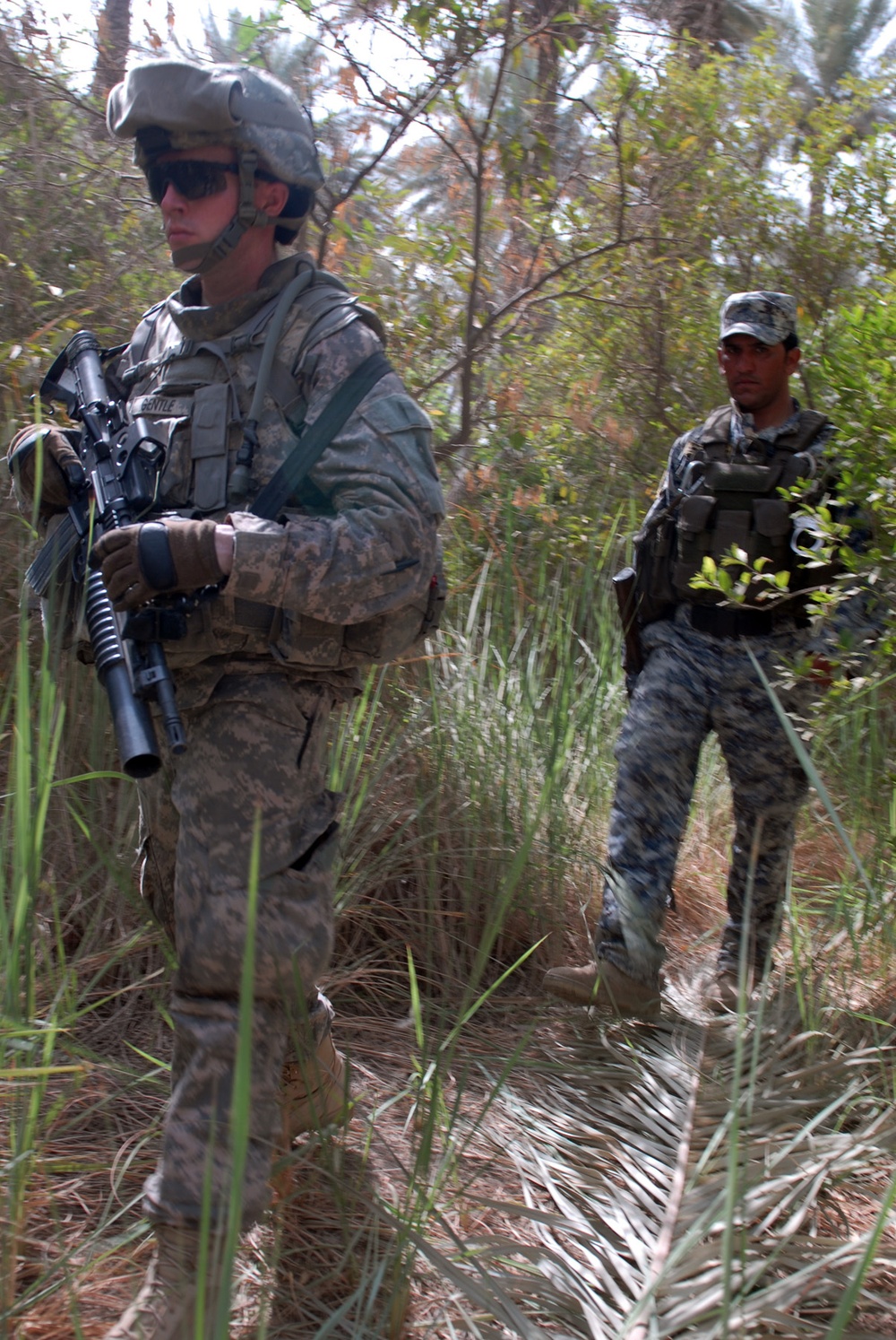 Old Hickory Soldiers sweep palm grove for weapons caches