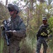 Old Hickory Soldiers sweep palm grove for weapons caches
