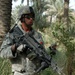 Old Hickory Soldiers sweep palm grove for weapons caches