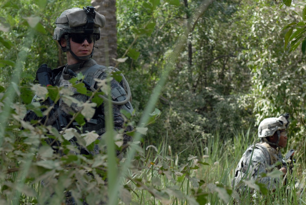 Old Hickory Soldiers sweep palm grove for weapons caches