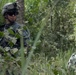 Old Hickory Soldiers sweep palm grove for weapons caches