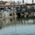 U.S. troops make effort to clean up Al Ashar canal