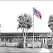 Drawing from Inspiration: 1st Marine Logistics Group officer expresses self through art