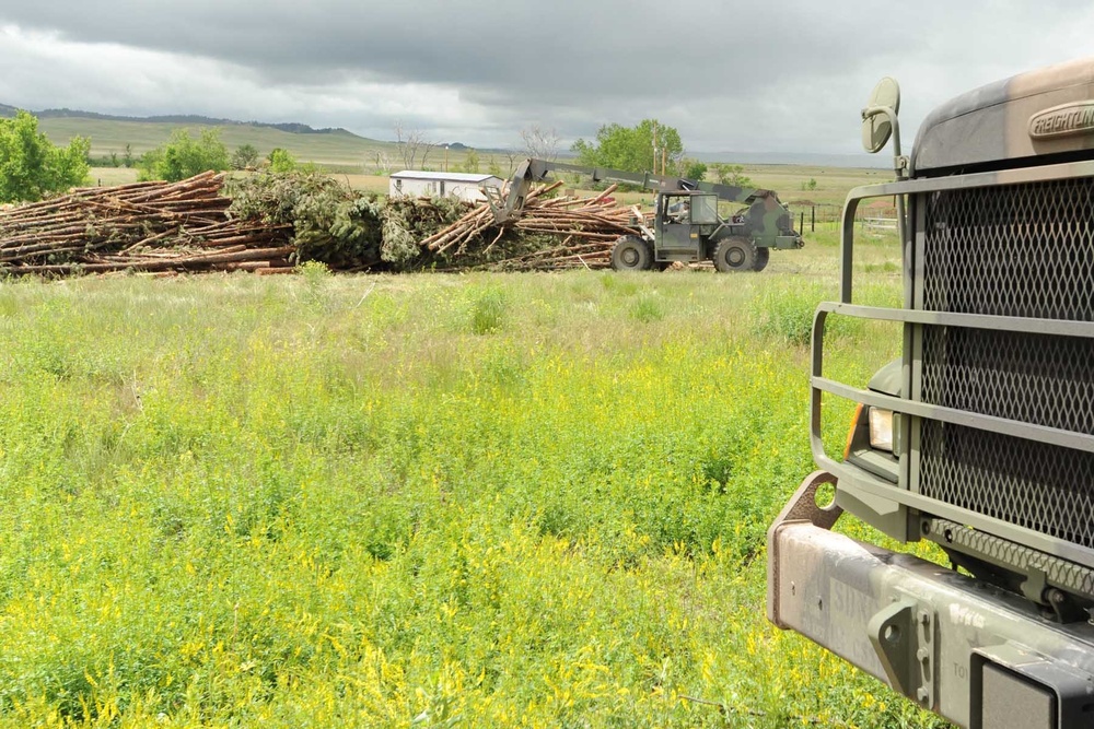 Timber Haul Benefits Community, Forest, Soldiers of Golden Coyote
