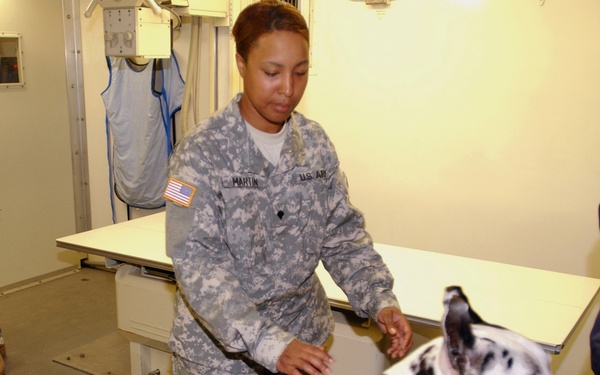 National Guard veterinarians keeps animals healthy